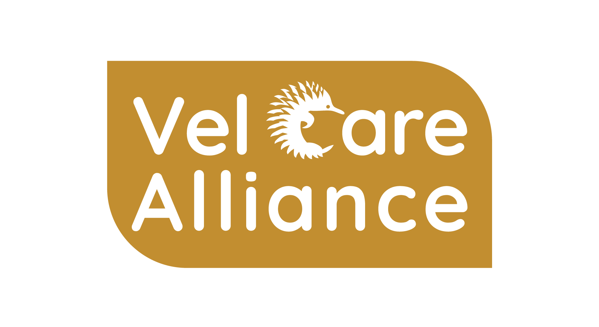 Vel Care Alliance