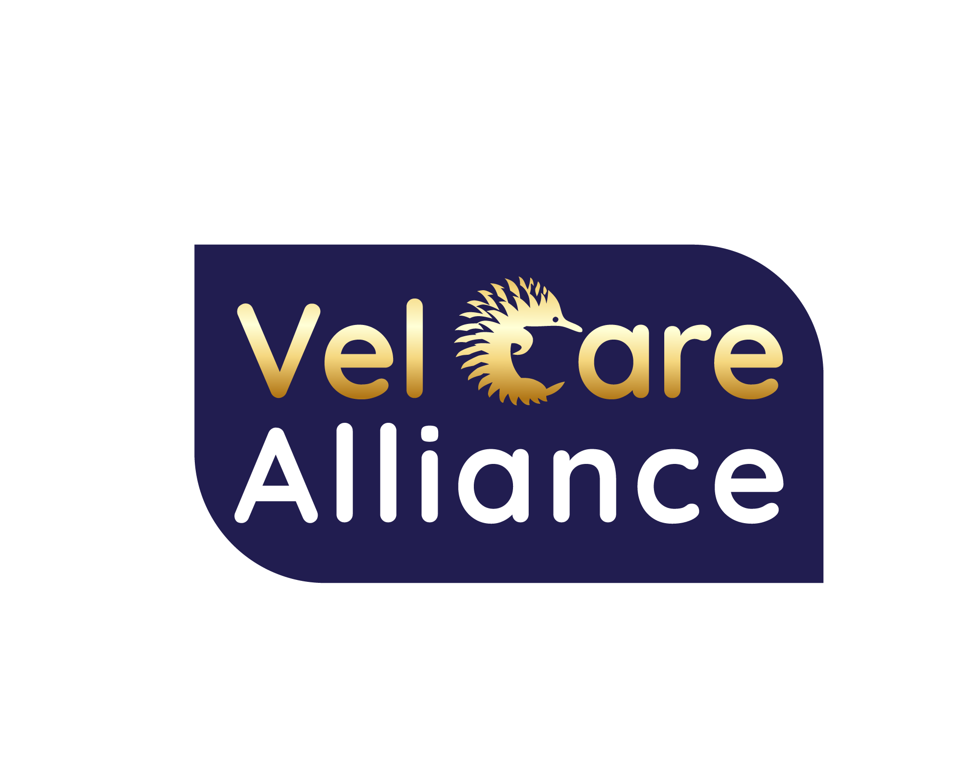 Vel Care Alliance